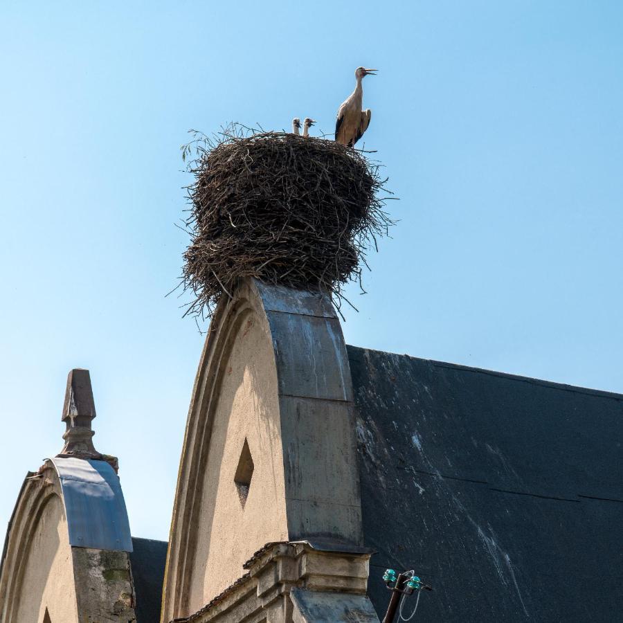 Zamek Sarny - Schloss Scharfeneck โควอตสโก ภายนอก รูปภาพ